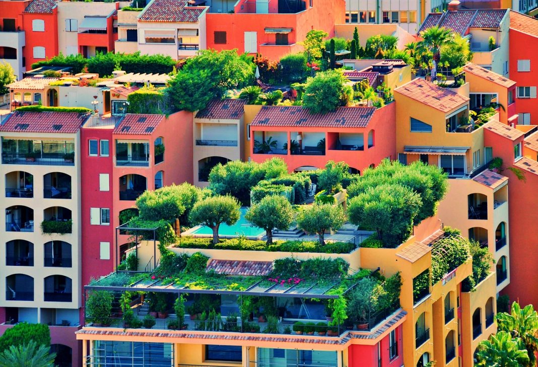 green roof