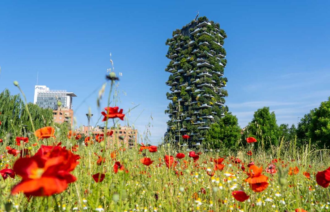 Milano, Italia. Bosco Verticale, vista sul grattacielo moderno ed ecologico con molti alberi su ogni balcone. Papaveri rossi in primo piano. Fiori freschi e colorati