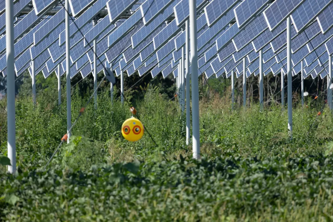 Sta per sorgere l'Energy Park di Bologna, che fonde agrivoltaico e foresta urbana per migliorare la vivibilià e la sostenibilità della città.