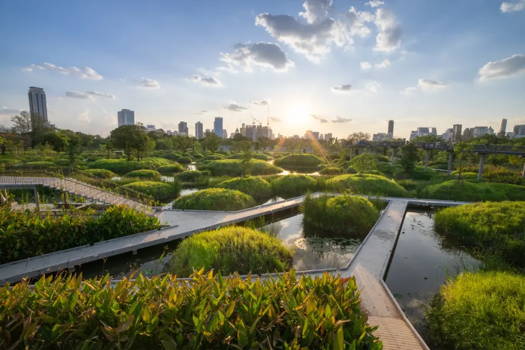 Il depaving rimuove l’asfalto e il cemento inutile dalle città per ridare spazio al terreno, alla flora e alla fauna.