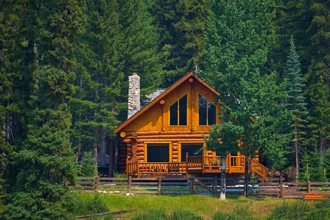 Le case in legno promettono di rendere più sostenibile il settore dell'edilizia e sono persino più ignifughe di quanto si pensi.